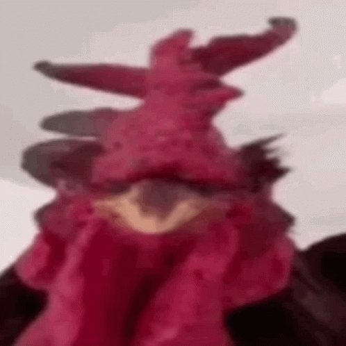 A Close Up Of A Red Rooster 'S Head With A Hat On . GIF