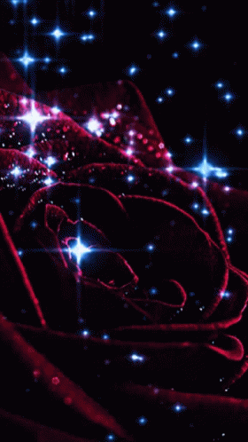 A Close Up Of A Red Rose Surrounded By Blue Lights GIF