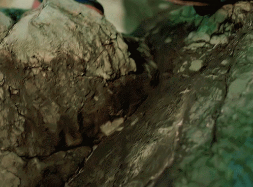 A Close Up Of A Rocky Surface With A Green Background GIF