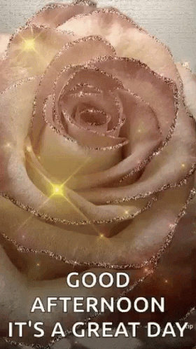 A Close Up Of A Rose With The Words `` Good Afternoon It 'S A Great Day '' On It . GIF