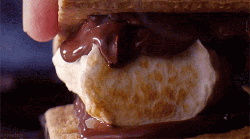 A Close Up Of A S'mores With Chocolate Sauce On Top GIF