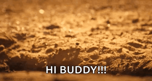 A Close Up Of A Sandy Beach With The Words `` Hi Buddy '' Written On It GIF