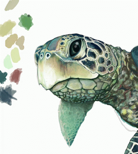 A Close Up Of A Sea Turtle 'S Face With A White Background GIF