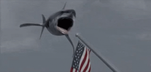 A Close Up Of A Shark Eating A Squid In The Water . GIF