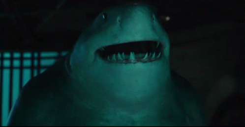 A Close Up Of A Shark With Its Mouth Open And Teeth Showing GIF