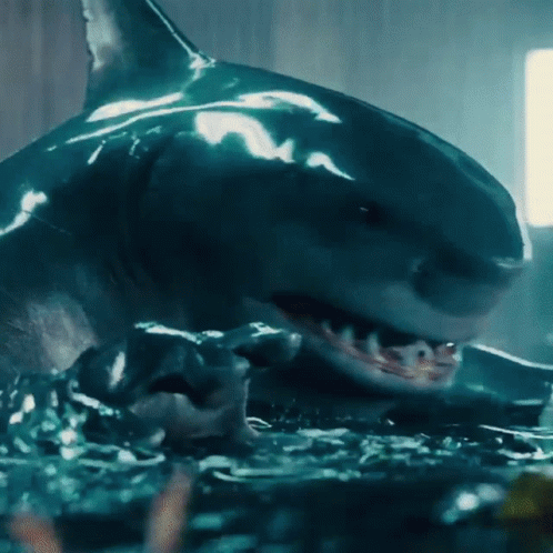 A Close Up Of A Shark With Its Mouth Open In The Water GIF