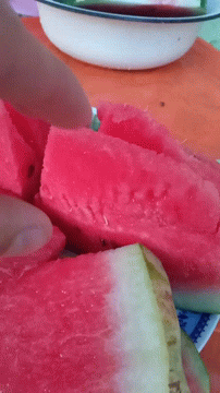 A Close Up Of A Slice Of Watermelon On A Plate GIF