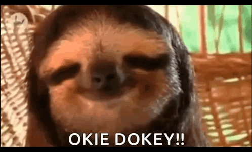 A Close Up Of A Sloth With The Words `` Okie Dokey '' Written Next To It . GIF