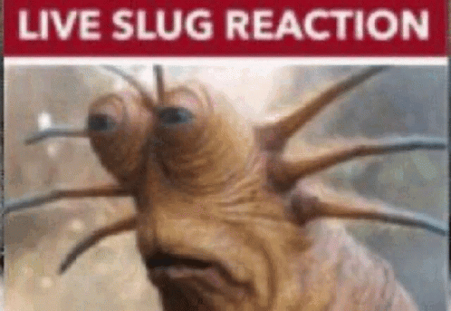 A Close Up Of A Slug With A Live Slug Reaction Sign Behind It GIF