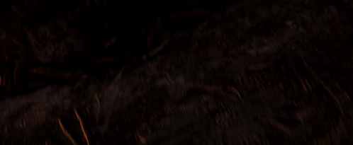 A Close Up Of A Snake 'S Face With A Cloudy Sky In The Background GIF