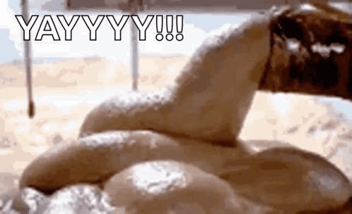 A Close Up Of A Snake 'S Tail With The Words Yay Yy Yy ! Written On It . GIF