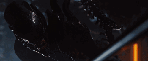 A Close Up Of A Spider In The Dark With A Glowing Orange Light Behind It GIF