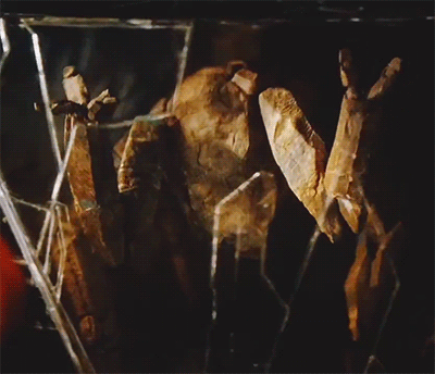 A Close Up Of A Spider Web With A Few Pieces Of Wood In It GIF