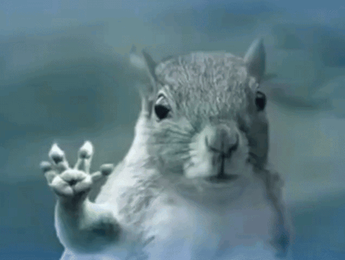 a close up of a squirrel 's face behind a glass door