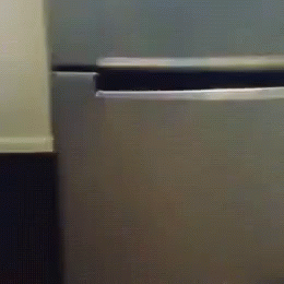 A Close Up Of A Stainless Steel Refrigerator With The Door Open GIF