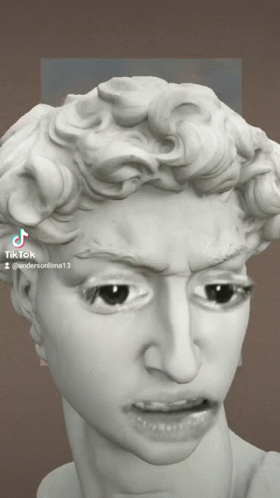 A Close Up Of A Statue 'S Face With Tiktok Written On The Bottom Right GIF
