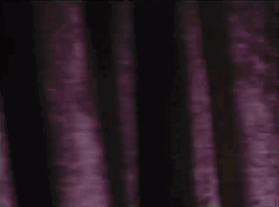 a close up of a stuffed animal in a dark room with a light behind it .