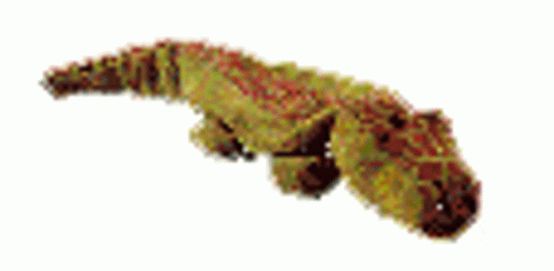 A Close Up Of A Stuffed Animal With A Long Tail . GIF