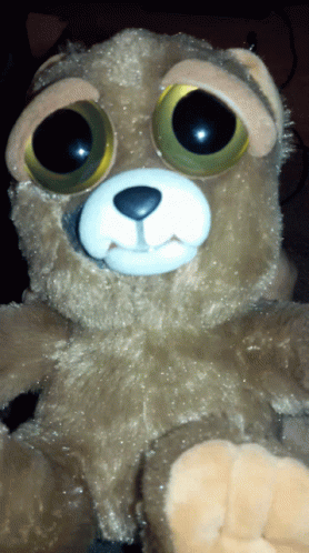 A Close Up Of A Stuffed Animal With Big Eyes And A White Nose GIF
