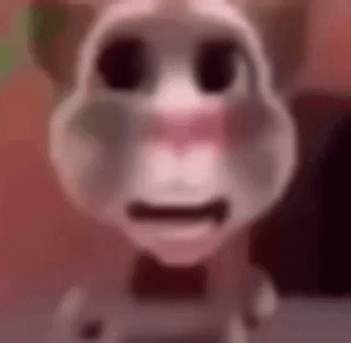 A Close Up Of A Talking Cat Wearing A Bow Tie And Making A Funny Face . GIF