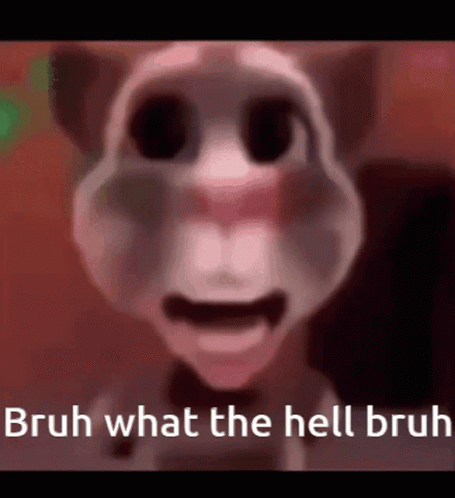 a close up of a talking cat with the words bruh what the hell bruh written on it .