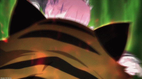 a close up of a tiger 's head with a girl in the background