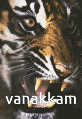 A Close Up Of A Tiger With The Word Vanakkam Written Below It GIF