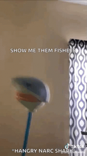 A Close Up Of A Toy Shark With The Words Show Me Them Fishees GIF