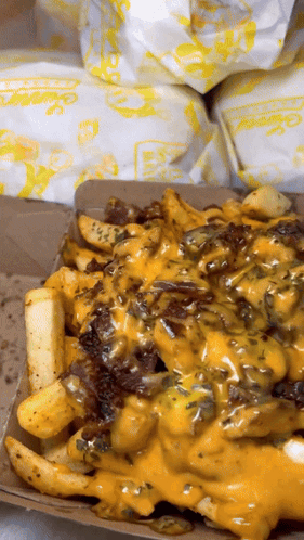 A Close Up Of A Tray Of French Fries With Cheese And Meat GIF