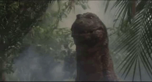 A Close Up Of A Tree In The Middle Of A Forest With Trees In The Background . GIF