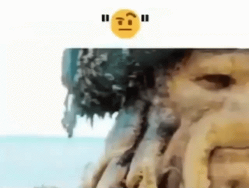 A Close Up Of A Tree Trunk With A Smiley Face Above It . GIF