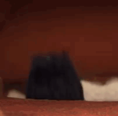 A Close Up Of A Troll Doll With A Black Hair And A Blue Nose . GIF