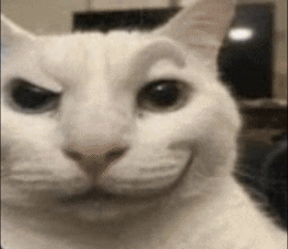 A Close Up Of A White Cat Making A Funny Face While Looking At The Camera . GIF