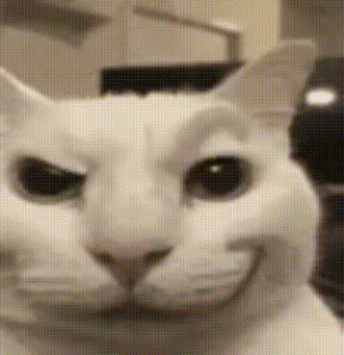 A Close Up Of A White Cat 'S Face With A Smile On Its Face . GIF