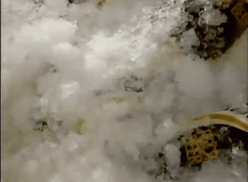 A Close Up Of A White Substance With A Yellow Object In The Background GIF