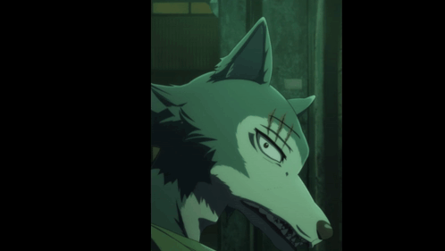 A Close Up Of A Wolf 'S Face With Teeth GIF