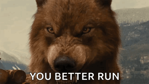 Close Up Of Wolf With You Better Run Text GIF