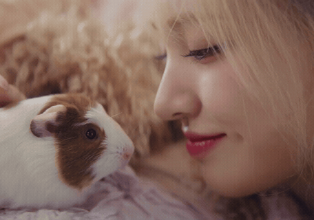 a close up of a woman and a guinea pig