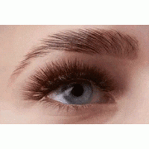 A Close Up Of A Woman 'S Blue Eye With Long Eyelashes And Eyebrows . GIF
