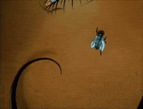 A Close Up Of A Woman 'S Eye With A Spider Web Around It GIF