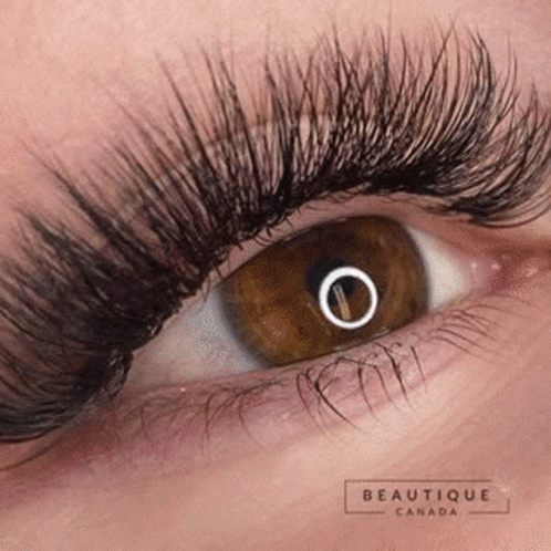 A Close Up Of A Woman 'S Eye With Very Long Eyelashes . GIF