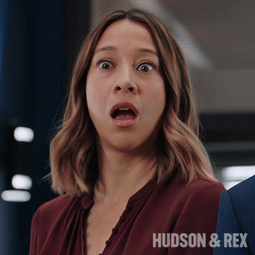 A Close Up Of A Woman 'S Face With The Words Hudson & Rex In The Corner GIF