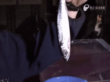 A Close Up Of A Worm With Chinese Writing On The Bottom Left GIF