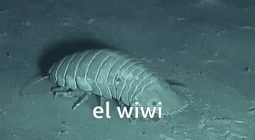 A Close Up Of A Worm With The Words El Wiwi Written On The Bottom GIF