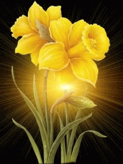 A Close Up Of A Yellow Flower On A Dark Background GIF
