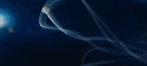A Close Up Of A Yellow Sphere With A Lot Of Bubbles In It . GIF