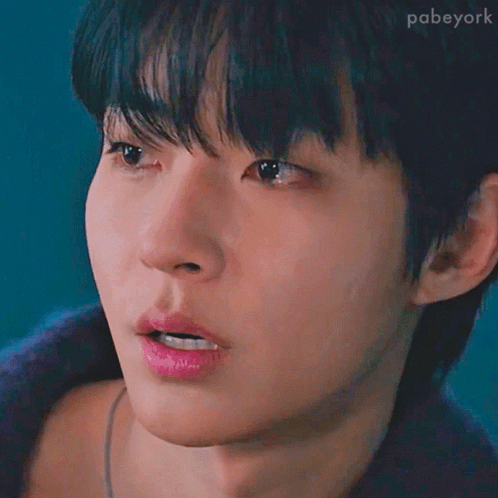 A Close Up Of A Young Man 'S Face With A Blue Background And The Hashtag Pabyork GIF