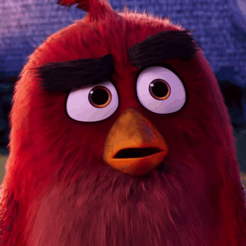 Close Up Of Funny Angry Bird Face GIF