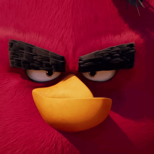 Angry Bird Face With Yellow Beak And Black Eyebrows GIF