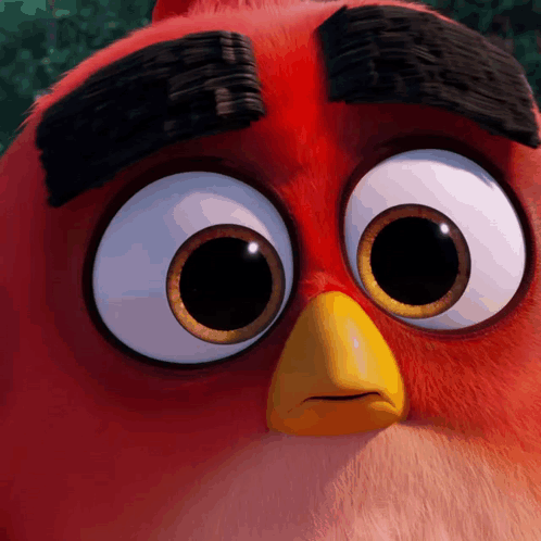 a close up of an angry bird 's face with big eyes and a yellow beak